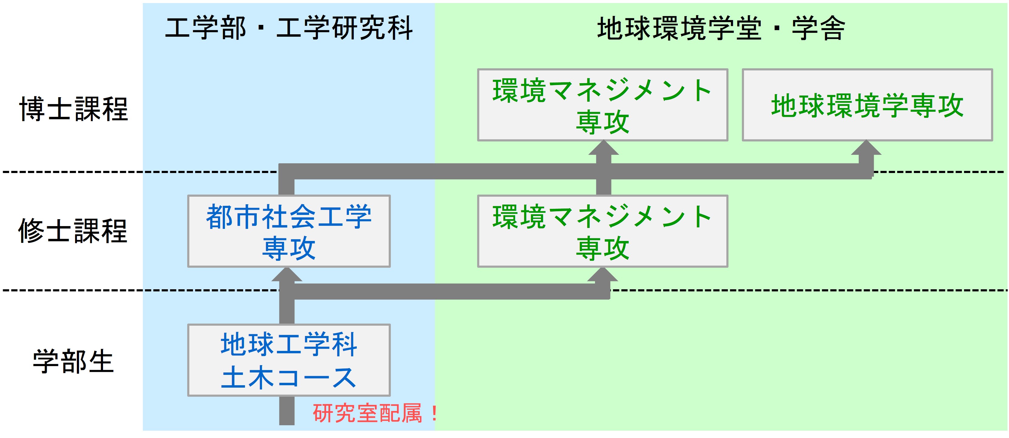 研究室内での進学の流れ